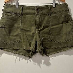 Khaki Anthropology shorts.
